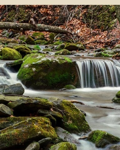 Stream running past Muddy Brook cabin